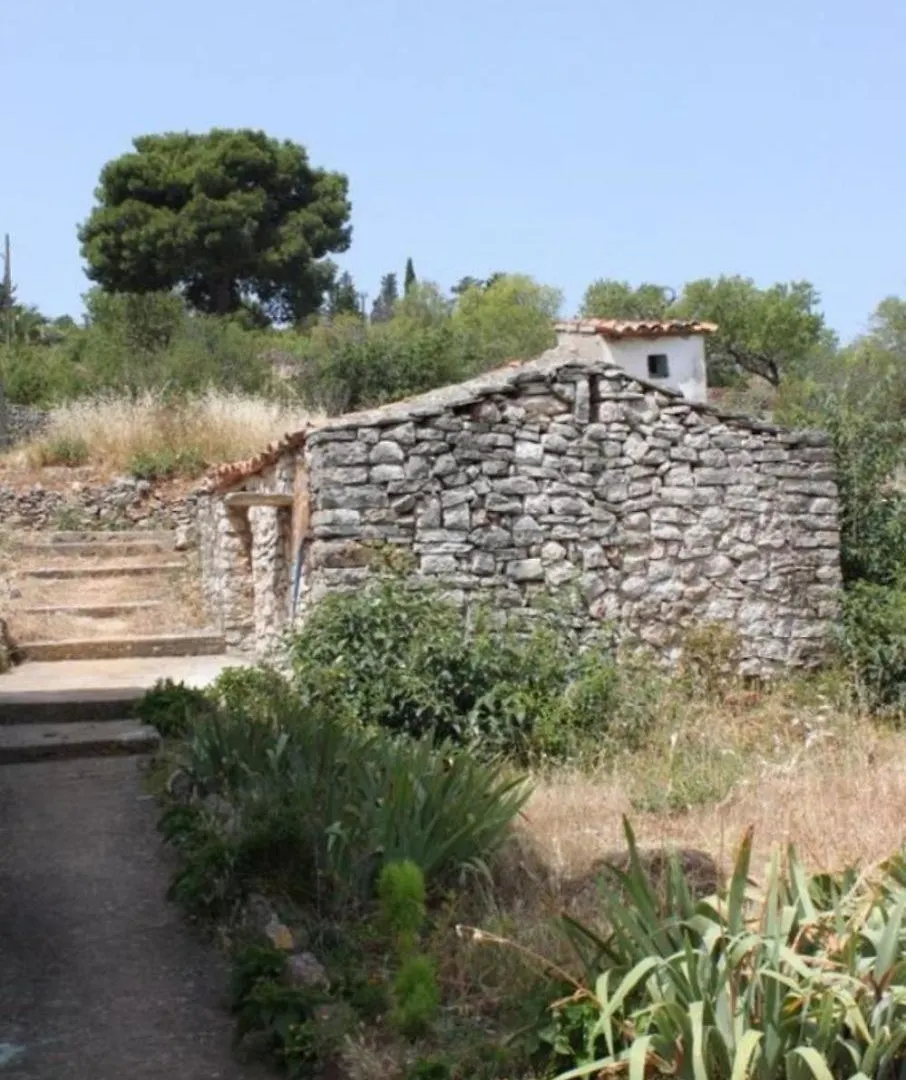 Apartments Darka Zman