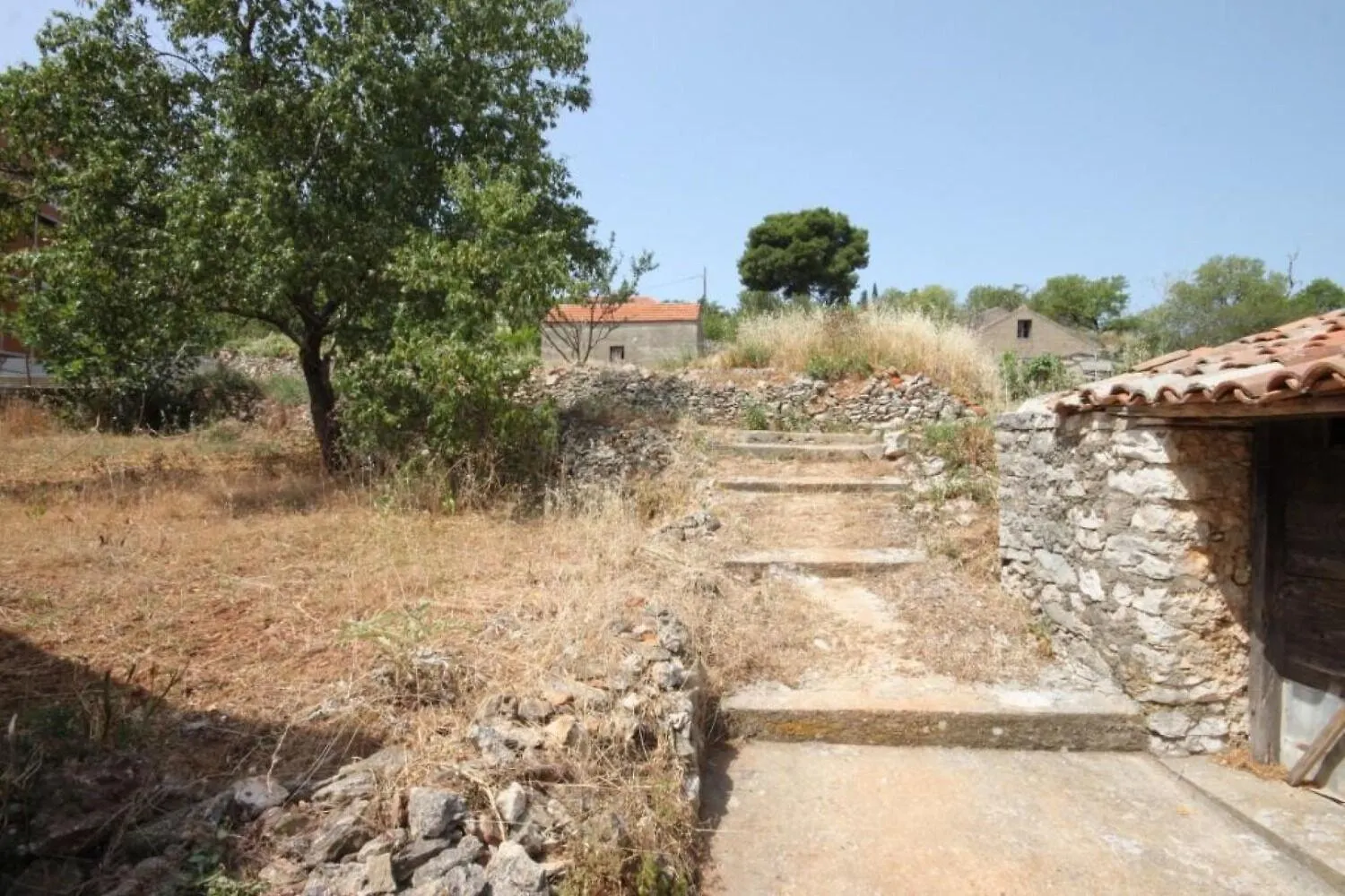 Apartments Darka Zman