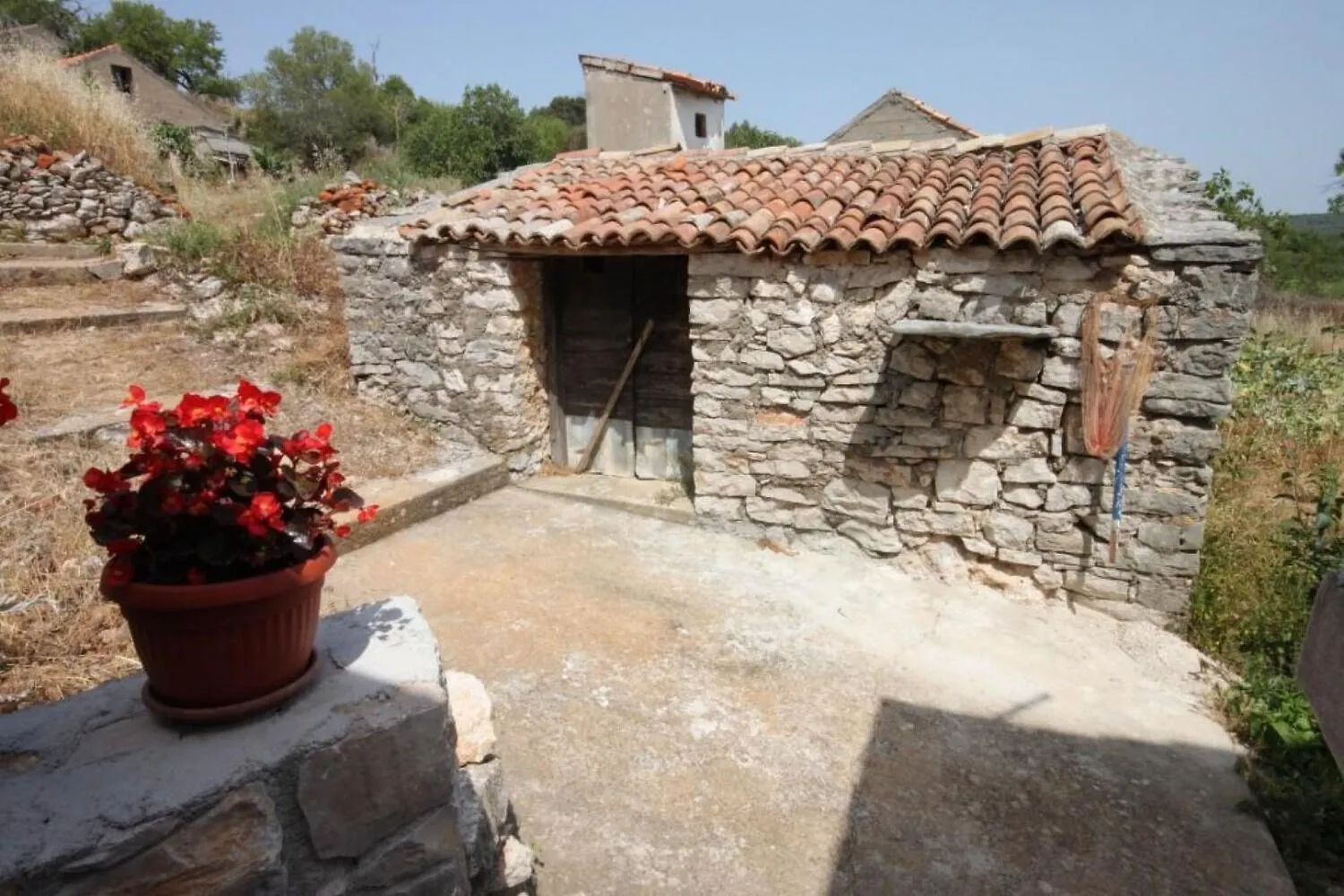 Apartments Darka Zman